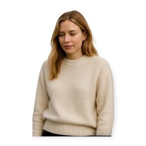Everlane Cream Wool Blend Crewneck Sweater Womens Small Minimalist Neutral